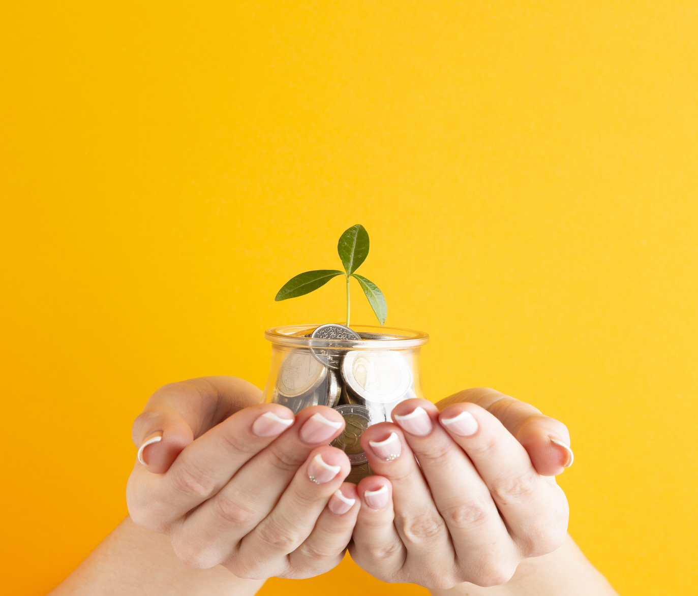 hands-holding-jar-coins-with-plant_1373x1173